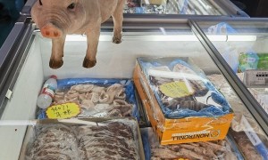 旺季不旺！猪价低位小幅上涨，年内上升空间有限