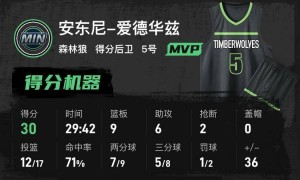 华子30+9亚历山大仅14分 森林狼狂胜雷霆总分1-2