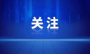 公务接待工作餐明确“不上酒”，白酒股集体下跌！
