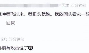 “看起来有1米”！有人家中出现“巨型蟑螂”？网友：房子给它了