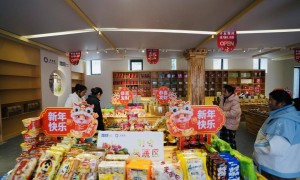 试行4.5天弹性工作制、打造10个夜经济集聚区……绵阳发布提振消费七大行动